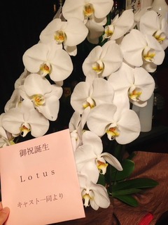 image1.jpeg